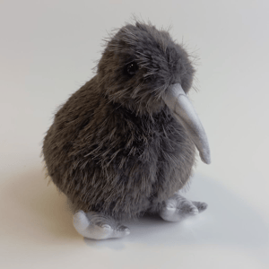 Птичка киви серая