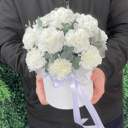 Гвоздики в шляпной коробочке