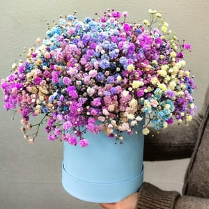 Шляпная коробка с цветами «Радужная гипсофила в коробке»