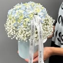 Цветы в коробке Гортензия и Гипсофила