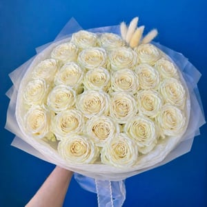 Букет из 25 белых роз Плая Бланка