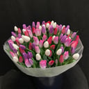 Букет из 101 тюльпана микс