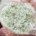 Букет «Воздушная гипсофила»