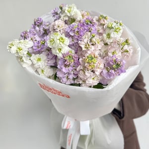 Букет из 19 ароматных маттиол