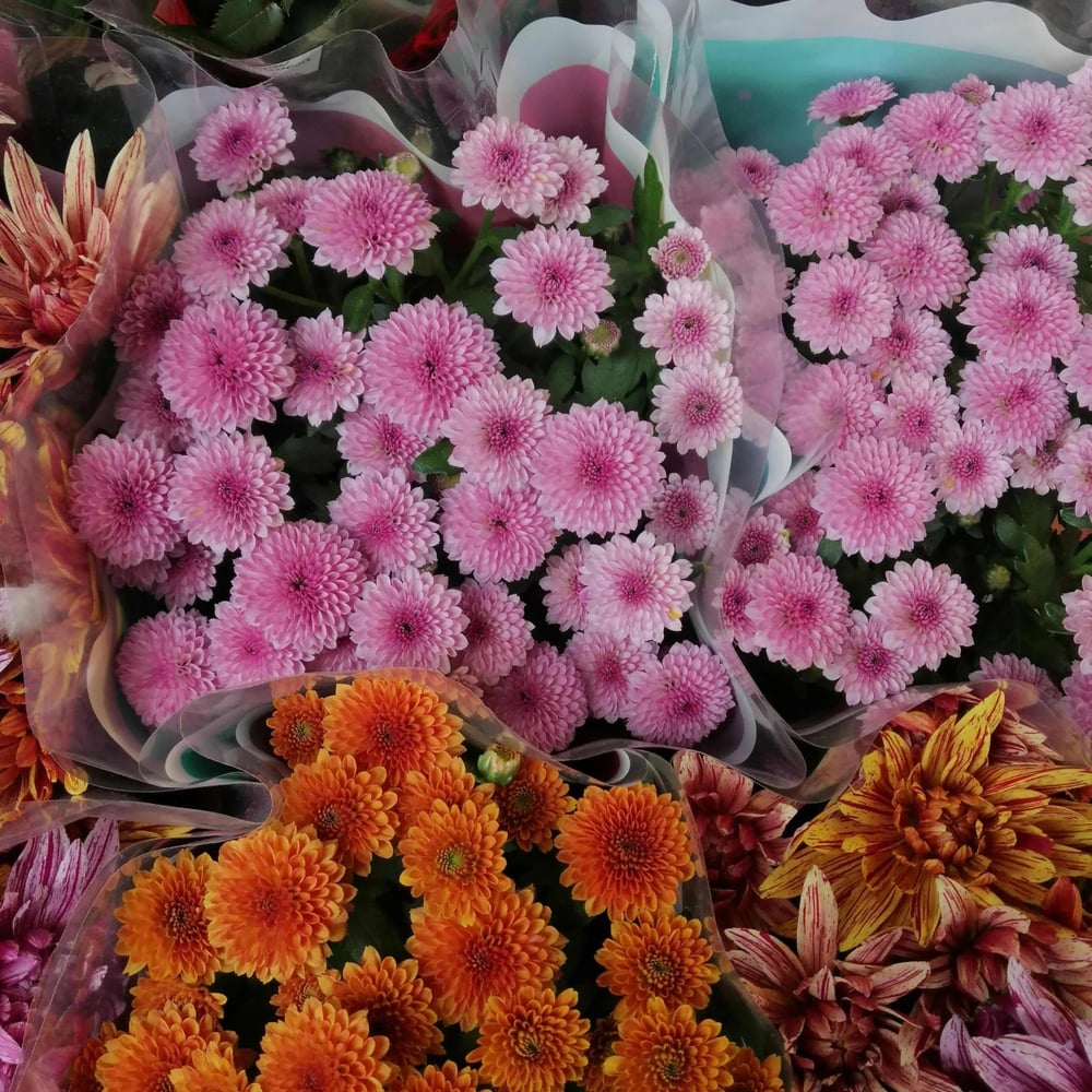 Flower delivery in Nottingham