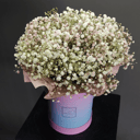 Гипсофила в шляпной коробке 1