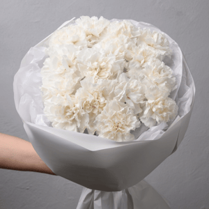 Букет «Светлая нежность нежные гвоздики»