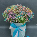 Шляпная коробка с цветами «Воздушное облако» из гипсофил