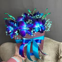 Коробка с цветами «Орхидея»