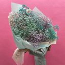 Яркий Букет Гипсофилы