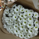 Букет «Белое облако» из хризантем