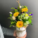 Шляпная коробка с цветами «Цветочный ноктюрн» из хризантем и альстромерий