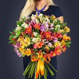 Букет из 51 альстромерии