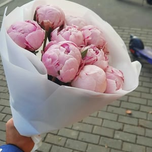 Букет «Пионы Сара Бернар в нежной упаковке»
