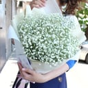 Букет из белой гипсофилы