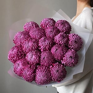 Пышный букет из хризантем бигуди 19 шт