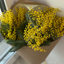 Монобукет из мимозы