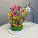 Сухоцветы грин гроу