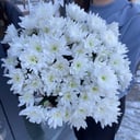 Букет "Облако" из хризантем
