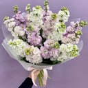 Букет «Маттиола»