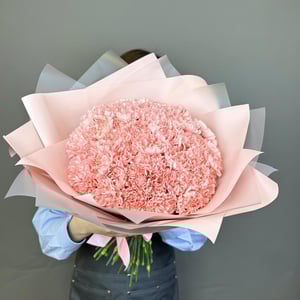 Букет из 49 нежных диантусов