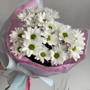 Букет «Хризантема Бакарди»