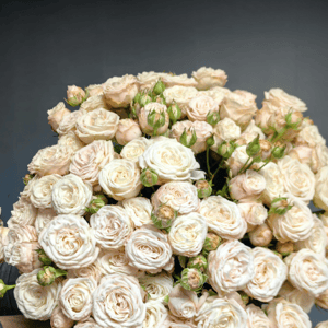 ПервоЦветы