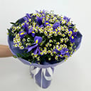 Букет «Созвездие» из ирисов и ромашек