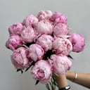 Монобукет из пионов "Сара Бернар", розов