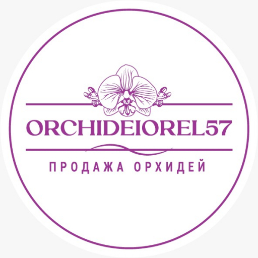 Цветы и Букеты «ОрхидеиОрел57»