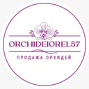 Цветы и Букеты «ОрхидеиОрел57»