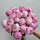 Букет из 21 пионов розовых