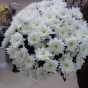 Букет «Хризантемы»