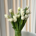 Букет «19 белых тюльпанов»
