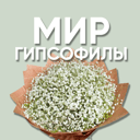 Мир Гипсофилы