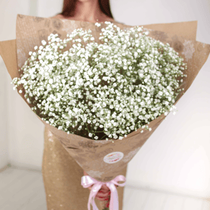 Букет цветов из 11 белых гипсофил