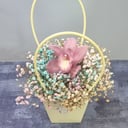 Коробка с цветами «Гипсофила радужная на день рождение» из орхидей