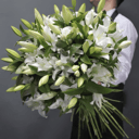Букет из 29 белых лилий