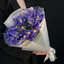 Букет из 15 синих ирисов из тюльпанов