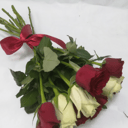 Кения Микс из роз