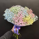 Букет радужной Гипсофилы