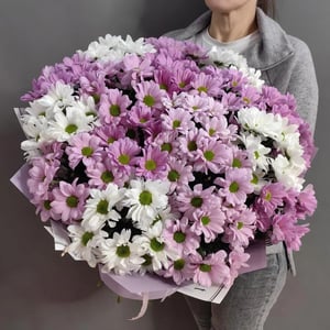 Букет из 17 кустовых хризантем, арт.2079