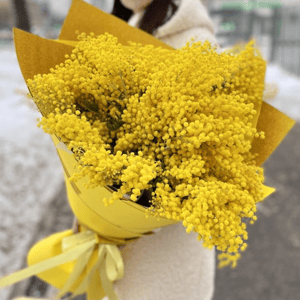 Букет из мимозы