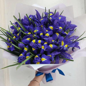 Букет из 21 ириса