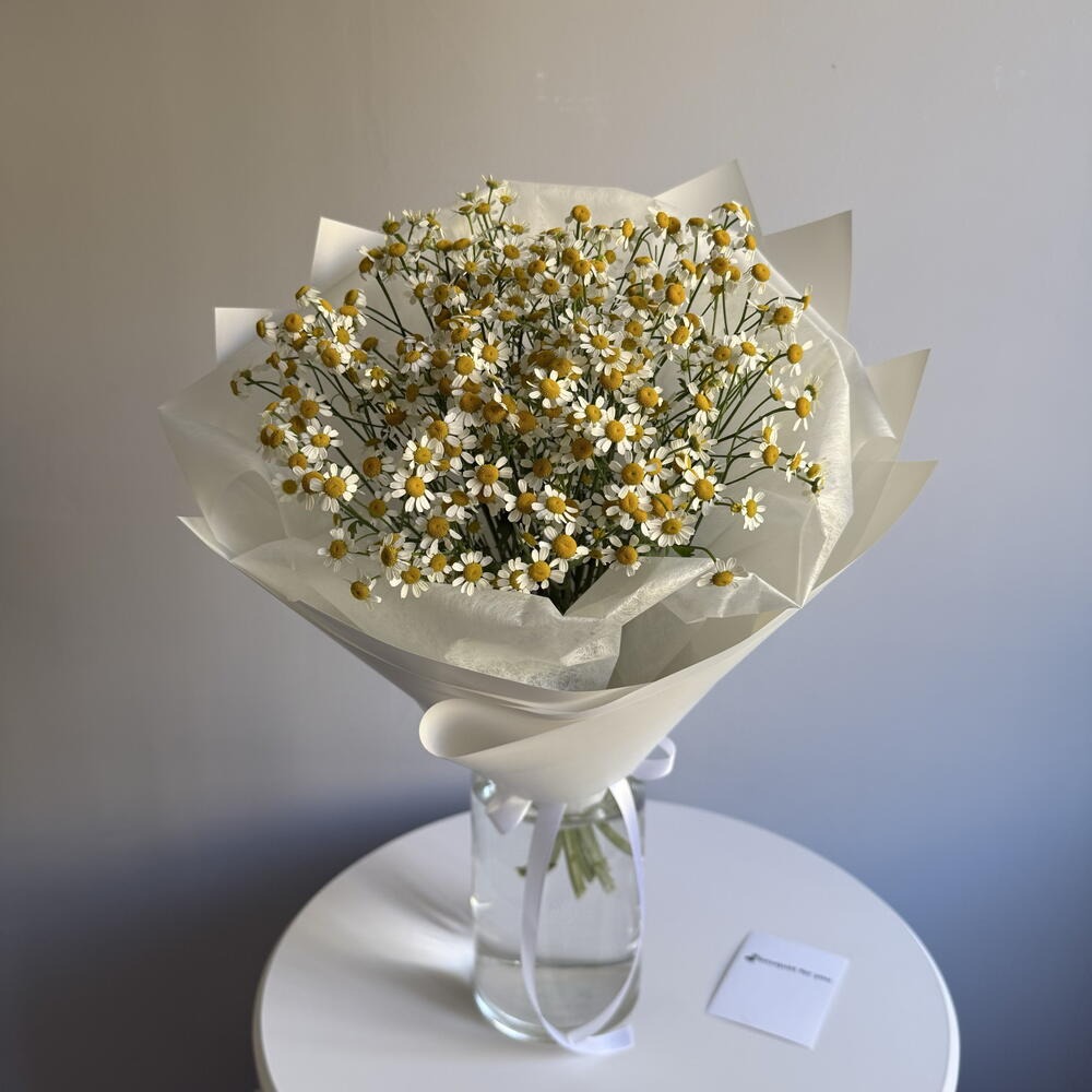 Букет полевых ромашек