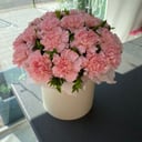 Шляпная коробка с цветами «Диантус» из гвоздик