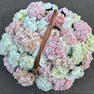 Гортензия в корзине 31шт