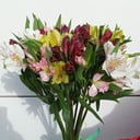 Букет «Нежный шелест» из альстромерий