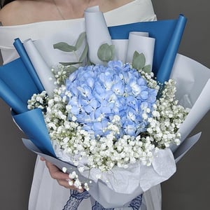 Букет «Комплимент из гортензии и гипсофилы»