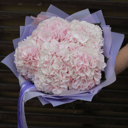 Сказочные облака из гортензий